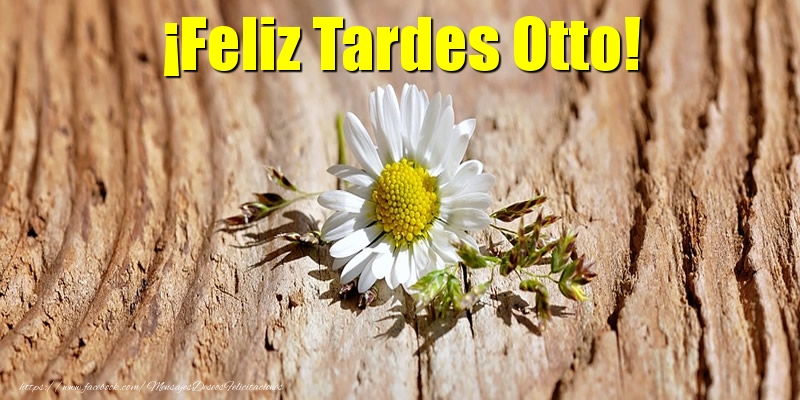 Felicitaciones de buenas tardes - ¡Feliz Tardes Otto!