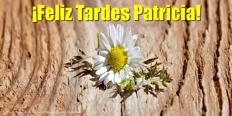 Felicitaciones de buenas tardes - Flores | ¡Feliz Tardes Patricia!