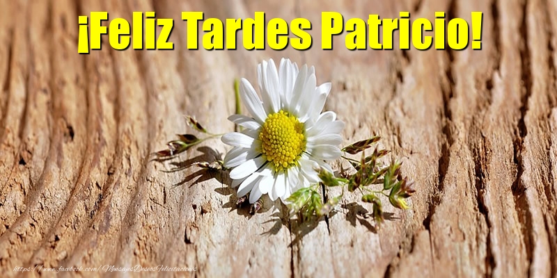 Felicitaciones de buenas tardes - ¡Feliz Tardes Patricio!