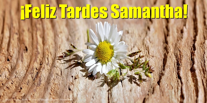Felicitaciones de buenas tardes - Flores | ¡Feliz Tardes Samantha!