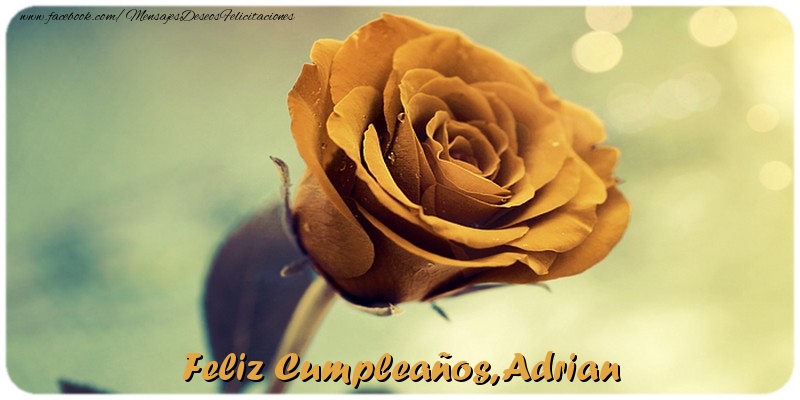 Felicitaciones de cumpleaños - Rosas | Feliz Cumpleaños, Adrian