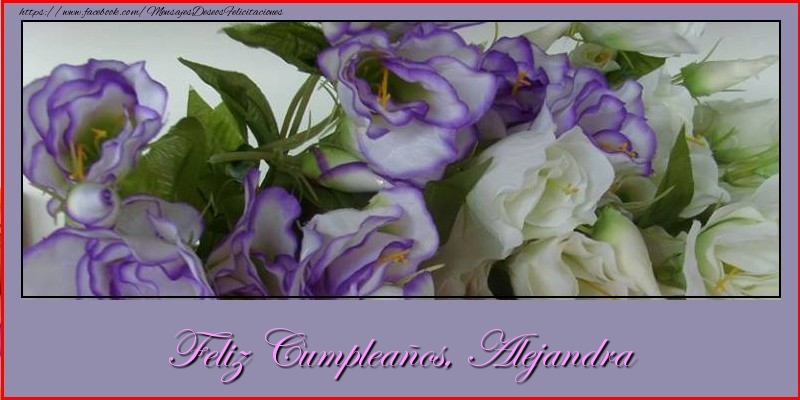 Felicitaciones de cumpleaños - Flores | Feliz cumpleaños, Alejandra