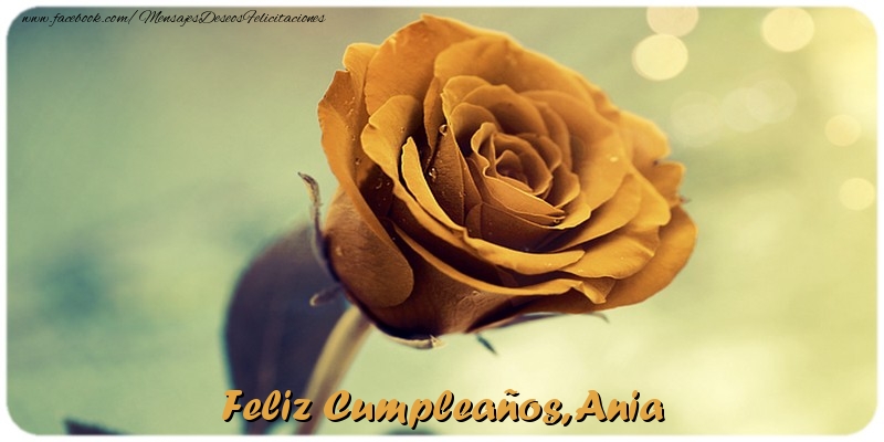 Felicitaciones de cumpleaños - Rosas | Feliz Cumpleaños, Ania
