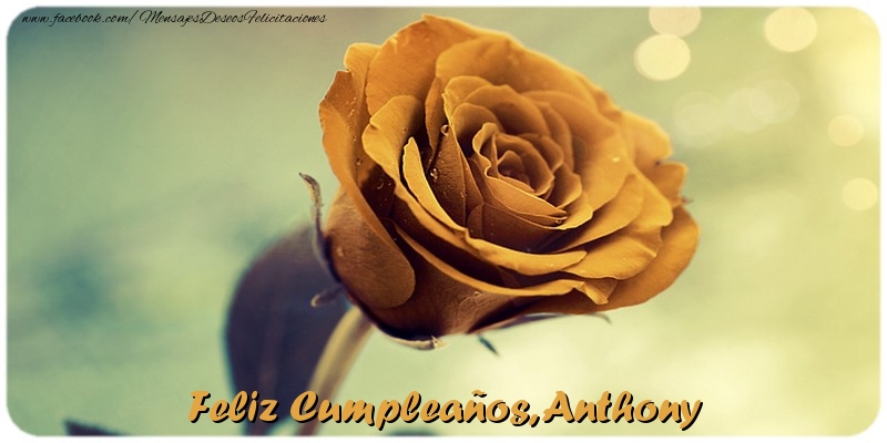 Felicitaciones de cumpleaños - Feliz Cumpleaños, Anthony