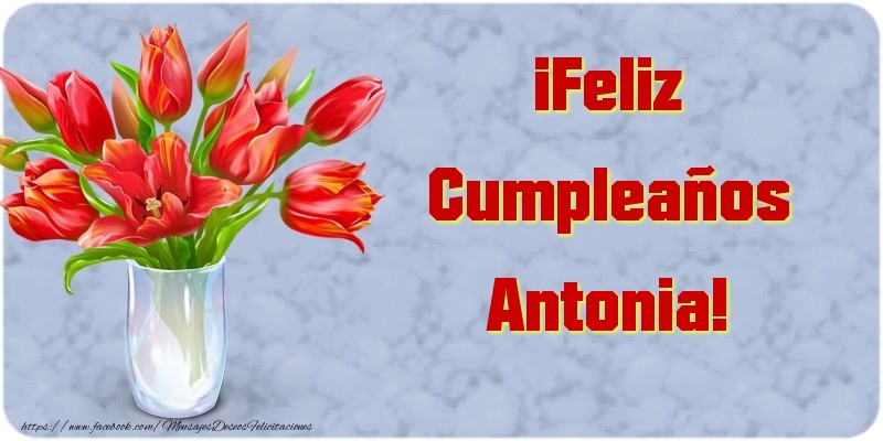 Felicitaciones de cumpleaños - Flores | ¡Feliz Cumpleaños Antonia