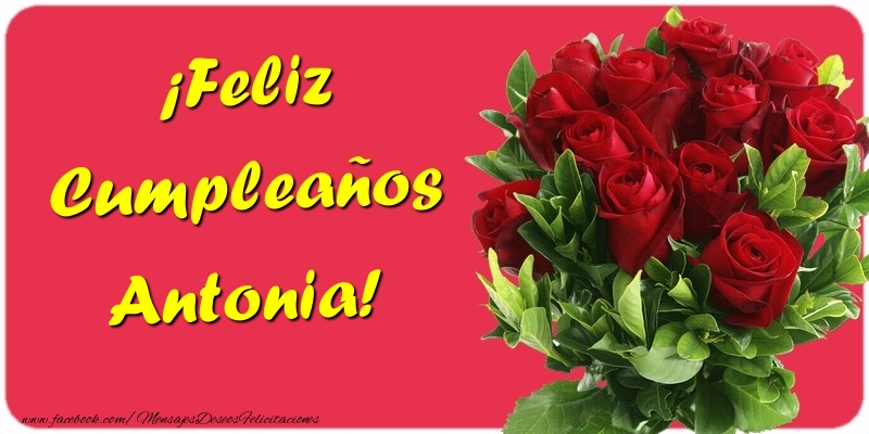 Felicitaciones de cumpleaños - Rosas | ¡Feliz Cumpleaños Antonia