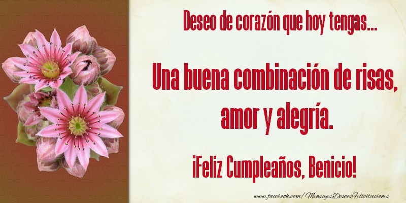 Felicitaciones de cumpleaños - Flores | Deseo de corazón que hoy tengas... Una buena combinación de risas, amor y alegría. ¡Feliz Cumpleaños, Benicio