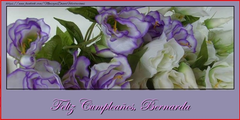 Felicitaciones de cumpleaños - Flores | Feliz cumpleaños, Bernarda