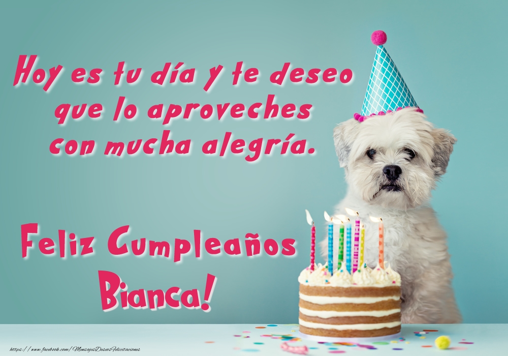 Felicitaciones de cumpleaños - Perrito con tarta: Feliz Cumpleaños Bianca!