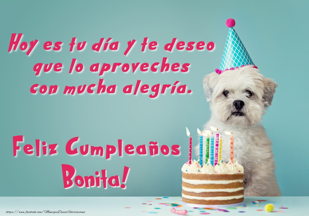 Felicitaciones de cumpleaños - Perrito con tarta: Feliz Cumpleaños Bonita!