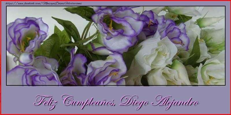 Felicitaciones de cumpleaños - Flores | Feliz cumpleaños, Diego Alejandro