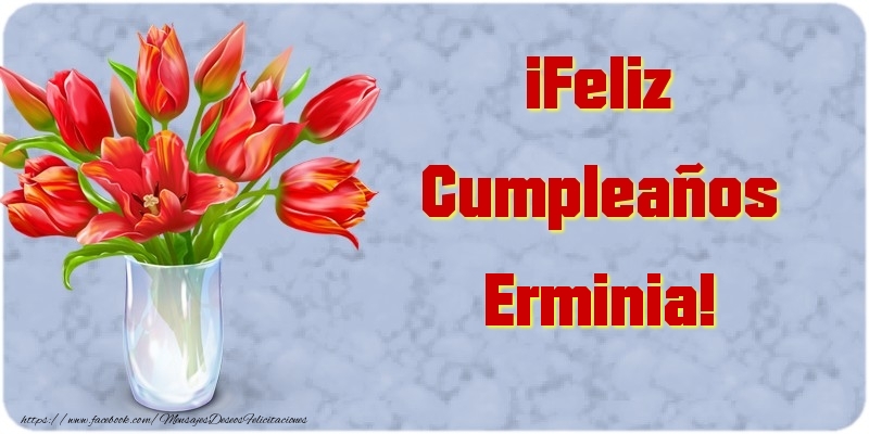 Felicitaciones de cumpleaños - Flores | ¡Feliz Cumpleaños Erminia