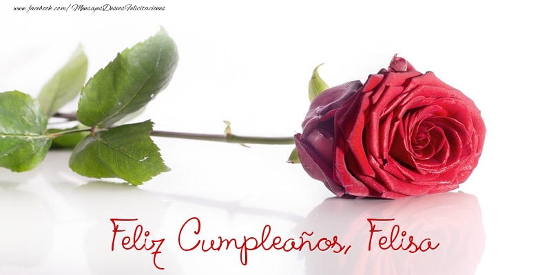 Felicitaciones de cumpleaños - Felicidades, Felisa!