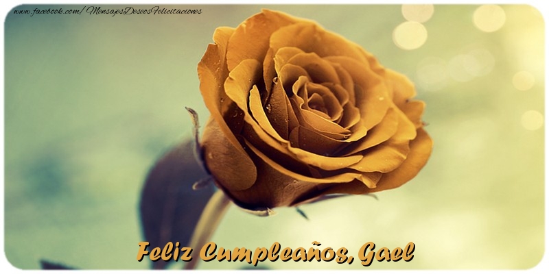 Felicitaciones de cumpleaños - Rosas | Feliz Cumpleaños, Gael