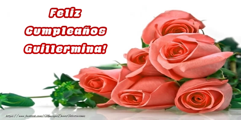 Felicitaciones de cumpleaños - Feliz Cumpleaños Guillermina! - Rosas