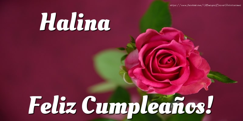 Felicitaciones de cumpleaños - Halina Feliz Cumpleaños!
