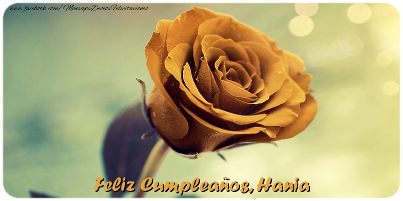 Felicitaciones de cumpleaños - Feliz Cumpleaños, Hania