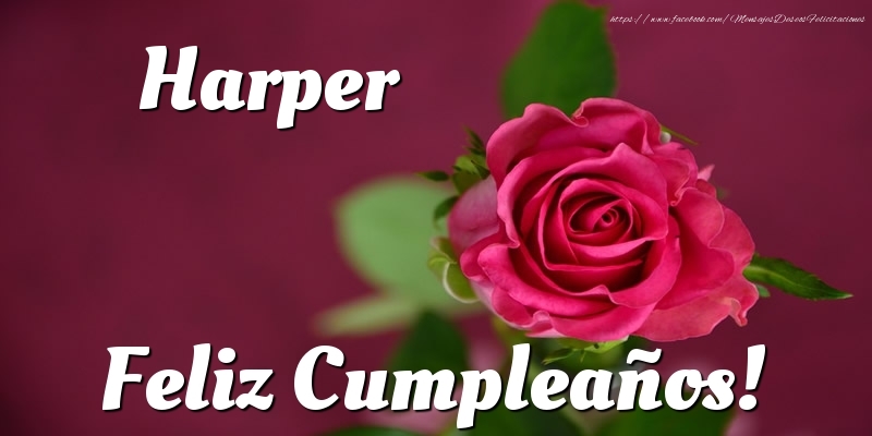 Felicitaciones de cumpleaños - Rosas | Harper Feliz Cumpleaños!