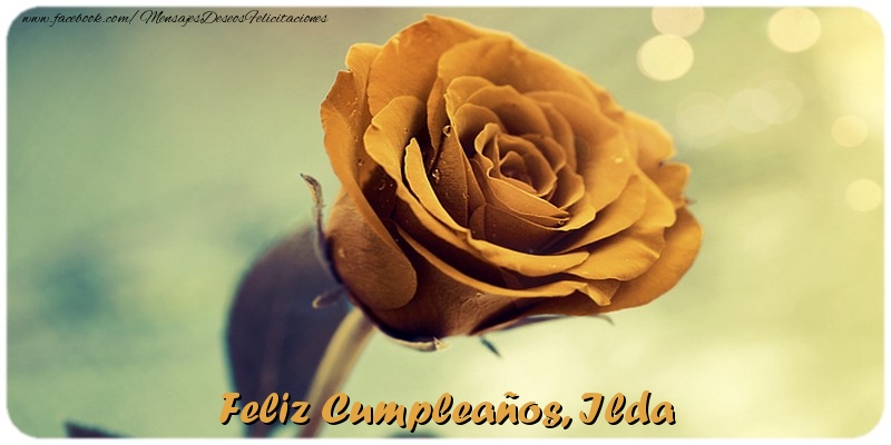 Felicitaciones de cumpleaños - Rosas | Feliz Cumpleaños, Ilda
