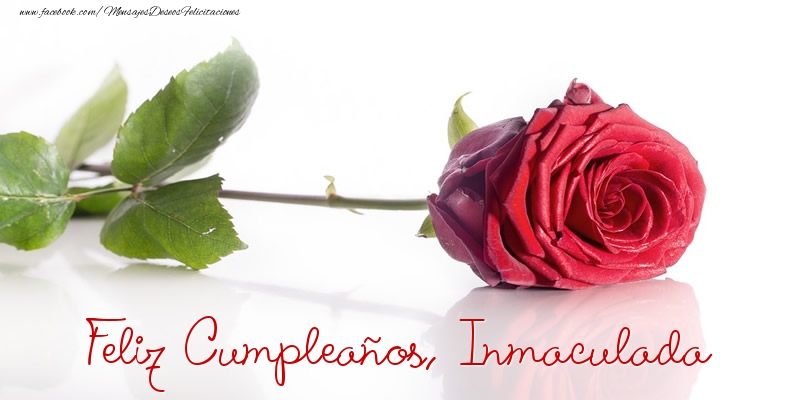 Felicitaciones de cumpleaños - Rosas | Felicidades, Inmaculada!