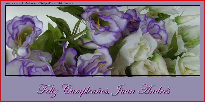 Felicitaciones de cumpleaños - Flores | Feliz cumpleaños, Juan Andrés