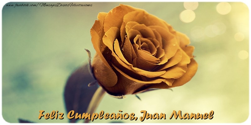 Felicitaciones de cumpleaños - Rosas | Feliz Cumpleaños, Juan Manuel