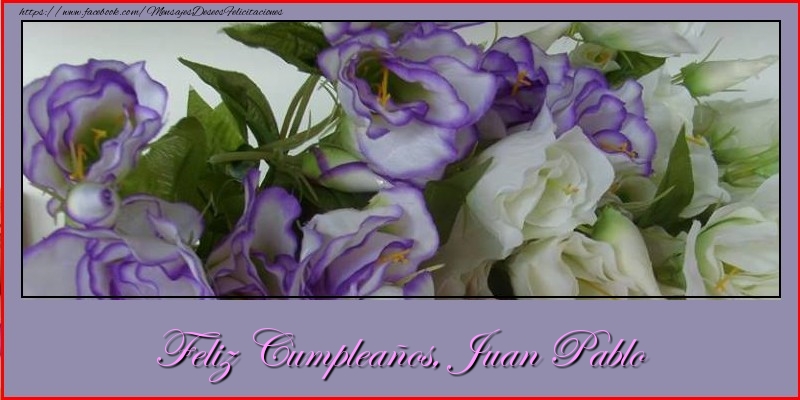 Felicitaciones de cumpleaños - Flores | Feliz cumpleaños, Juan Pablo