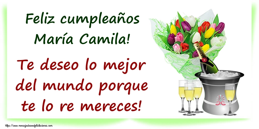 Felicitaciones de cumpleaños - Feliz cumpleaños María Camila! Te deseo lo mejor del mundo porque te lo re mereces!