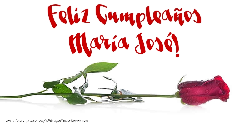 Felicitaciones de cumpleaños - Flores & Rosas | Feliz Cumpleaños María José!