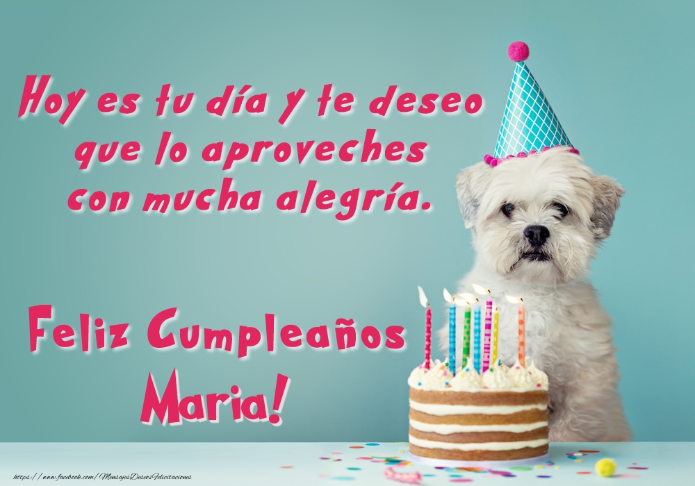 Felicitaciones de cumpleaños - Perrito con tarta: Feliz Cumpleaños Maria!
