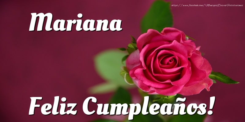 Felicitaciones de cumpleaños - Rosas | Mariana Feliz Cumpleaños!