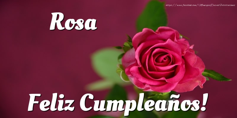 Cumpleaños Rosa Feliz Cumpleaños!
