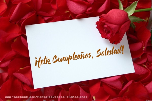 Felicitaciones de cumpleaños - Rosas | ¡Feliz cumpleaños, Soledad!