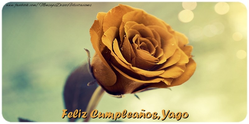 Felicitaciones de cumpleaños - Rosas | Feliz Cumpleaños, Yago
