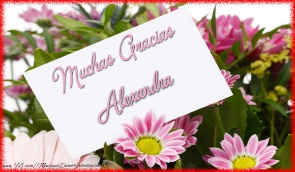 Felicitaciones de gracias - Flores | Muchas Gracias Alexandra
