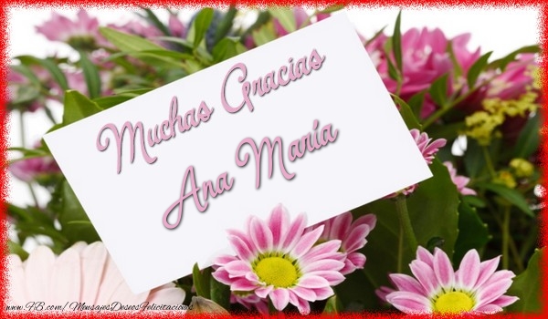 Felicitaciones de gracias - Flores | Muchas Gracias Ana María