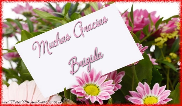Felicitaciones de gracias - Flores | Muchas Gracias Brigida