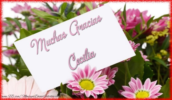 Felicitaciones de gracias - Flores | Muchas Gracias Cecilia