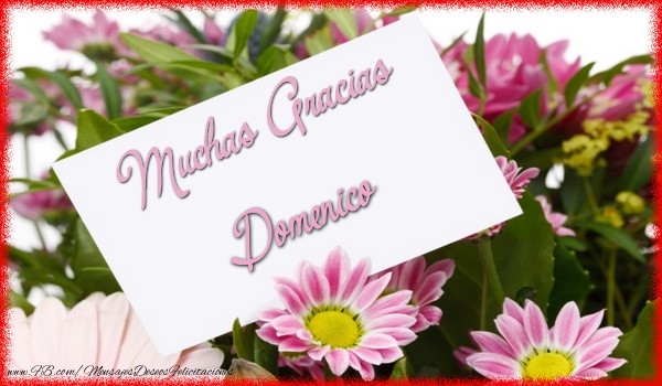 Felicitaciones de gracias - Flores | Muchas Gracias Domenico