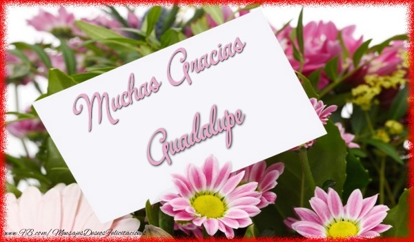 Felicitaciones de gracias - Muchas Gracias Guadalupe