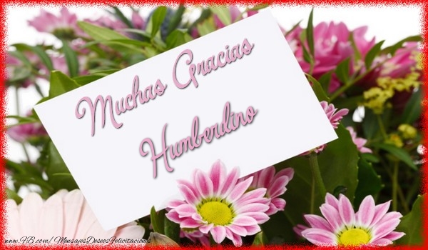 Felicitaciones de gracias - Flores | Muchas Gracias Humberdino