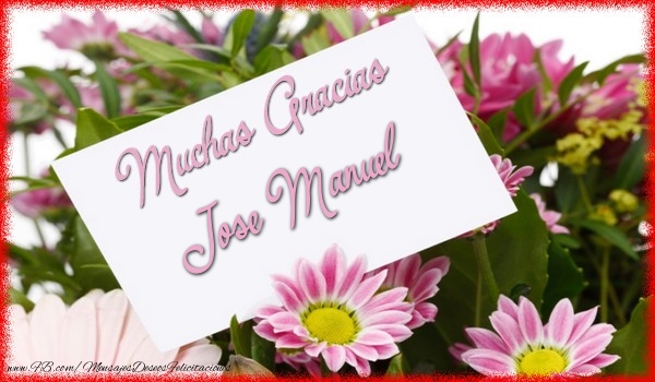 Felicitaciones de gracias - Flores | Muchas Gracias Jose Manuel