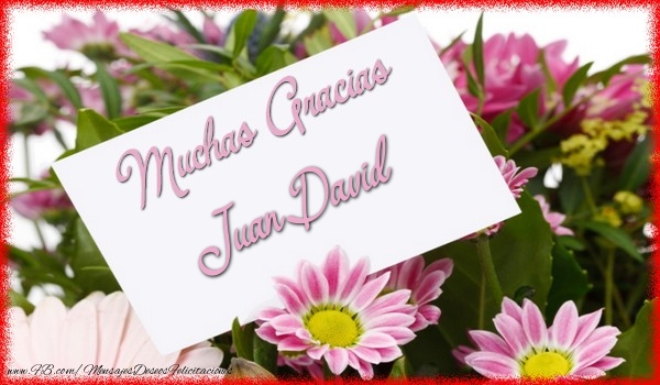 Felicitaciones de gracias - Flores | Muchas Gracias Juan David