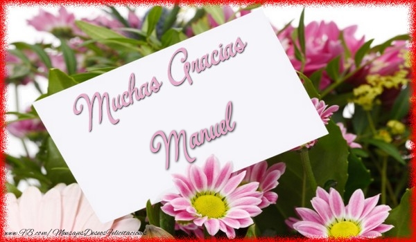 Felicitaciones de gracias - Flores | Muchas Gracias Manuel