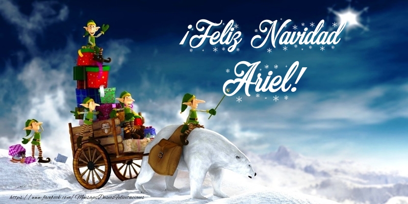 Felicitaciones de Navidad - Papá Noel & Regalo | ¡Feliz Navidad Ariel!