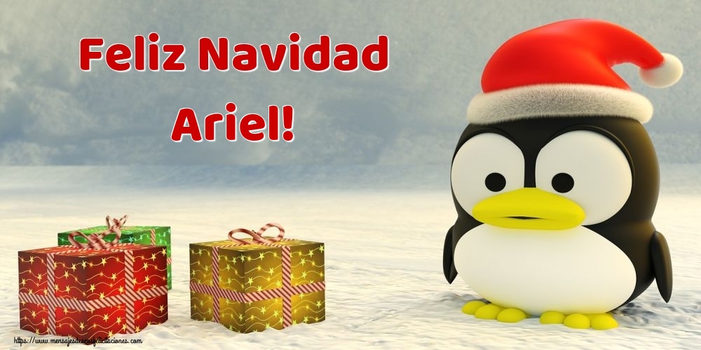 Felicitaciones de Navidad - Feliz Navidad Ariel!