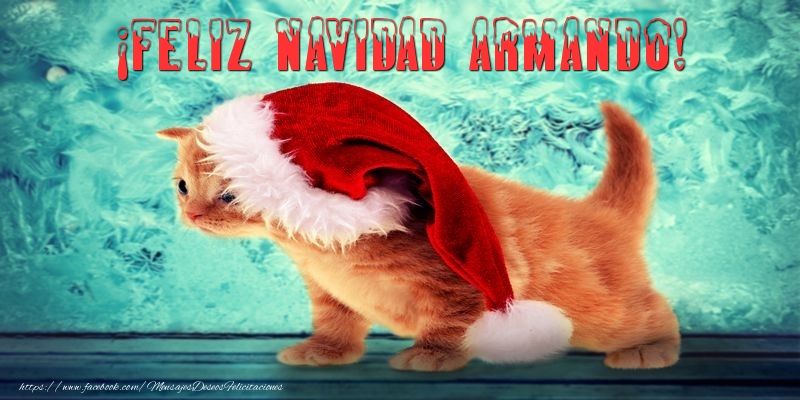 Felicitaciones de Navidad - ¡Feliz Navidad Armando!