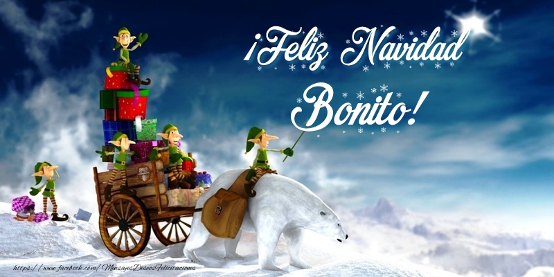 Felicitaciones de Navidad - Papá Noel & Regalo | ¡Feliz Navidad Bonito!