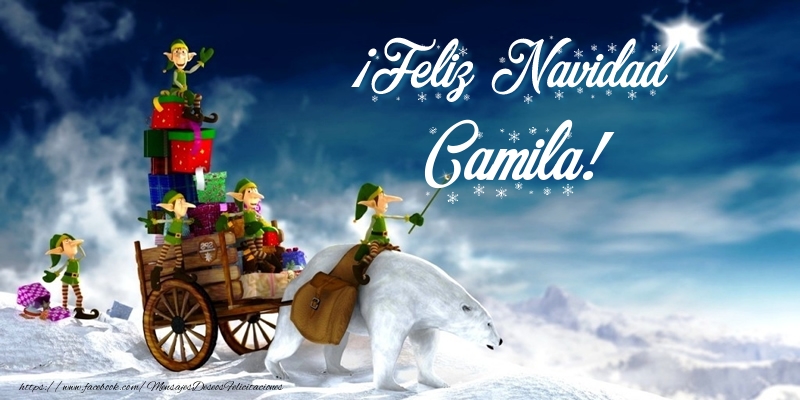 Felicitaciones de Navidad - Papá Noel & Regalo | ¡Feliz Navidad Camila!