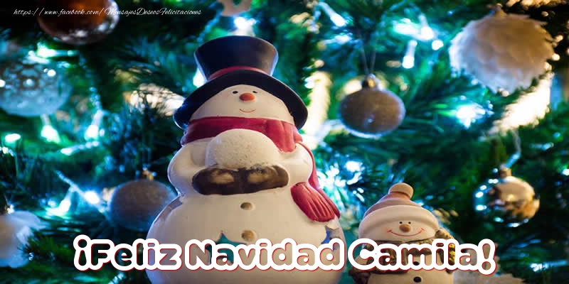 Felicitaciones de Navidad - Muñeco De Nieve | ¡Feliz Navidad Camila!